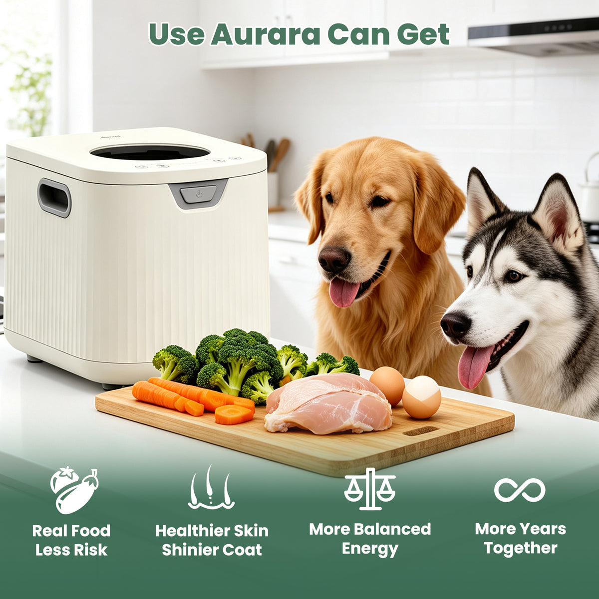 [Upgraded] Aurara Pet Fresh Food Cooker CY02D